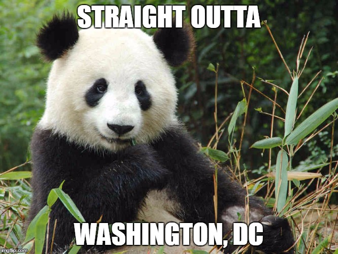 STRAIGHT OUTTA WASHINGTON, DC | made w/ Imgflip meme maker