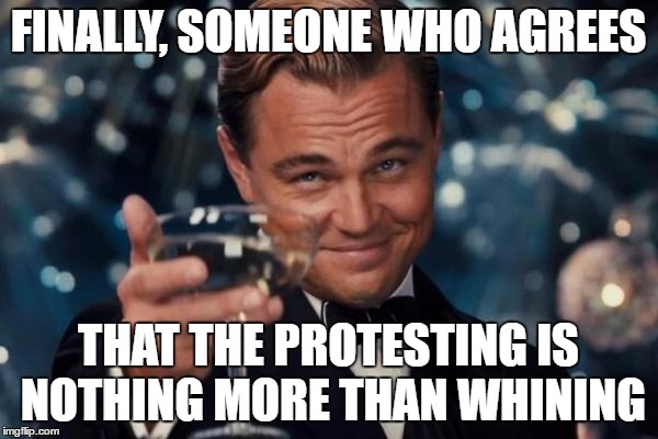 FINALLY, SOMEONE WHO AGREES THAT THE PROTESTING IS NOTHING MORE THAN WHINING | image tagged in memes,leonardo dicaprio cheers | made w/ Imgflip meme maker