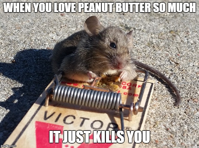 Mouse hugging peanut butter | WHEN YOU LOVE PEANUT BUTTER SO MUCH; IT JUST KILLS YOU | image tagged in memes,funny,mouse | made w/ Imgflip meme maker
