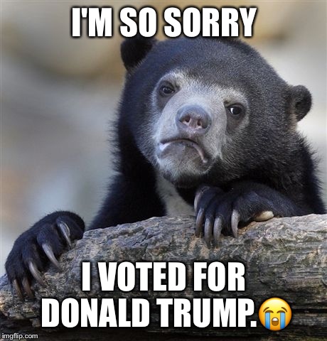 Confession Bear Meme | I'M SO SORRY; I VOTED FOR DONALD TRUMP.😭 | image tagged in memes,confession bear | made w/ Imgflip meme maker