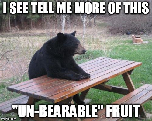 Bad Luck Bear | I SEE TELL ME MORE OF THIS; "UN-BEARABLE" FRUIT | image tagged in memes,bad luck bear | made w/ Imgflip meme maker