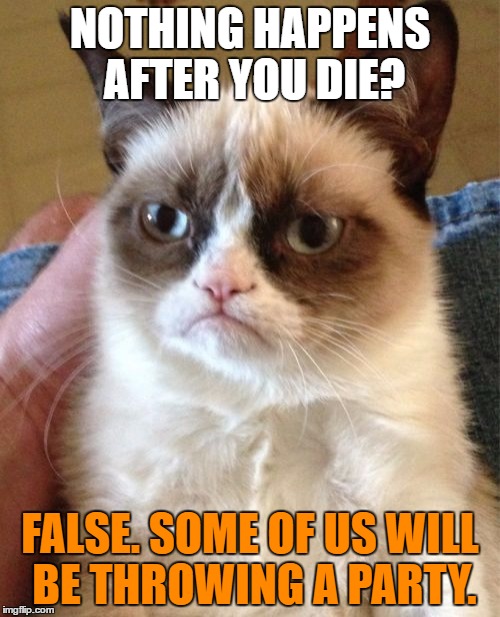 Grumpy Cat | NOTHING HAPPENS AFTER YOU DIE? FALSE. SOME OF US WILL BE THROWING A PARTY. | image tagged in memes,grumpy cat | made w/ Imgflip meme maker