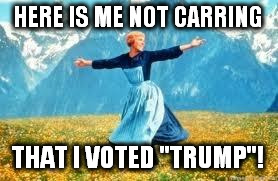 Look At All These | HERE IS ME NOT CARRING; THAT I VOTED "TRUMP"! | image tagged in memes,look at all these | made w/ Imgflip meme maker