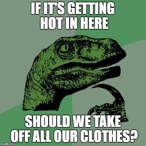 Philosoraptor Meme | IF IT'S GETTING HOT IN HERE SHOULD WE TAKE OFF ALL OUR CLOTHES? | image tagged in memes,philosoraptor | made w/ Imgflip meme maker
