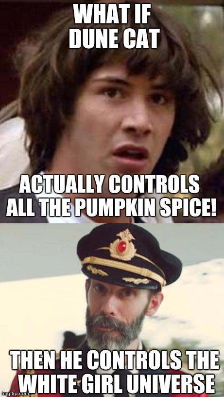 Dune Cat Controls all the Pumpkin Spice | WHAT IF DUNE CAT; ACTUALLY CONTROLS ALL THE PUMPKIN SPICE! THEN HE CONTROLS THE WHITE GIRL UNIVERSE | image tagged in conspiracy keanu,captain obvious,pumpkin spice,white girls,dune,dunecat | made w/ Imgflip meme maker