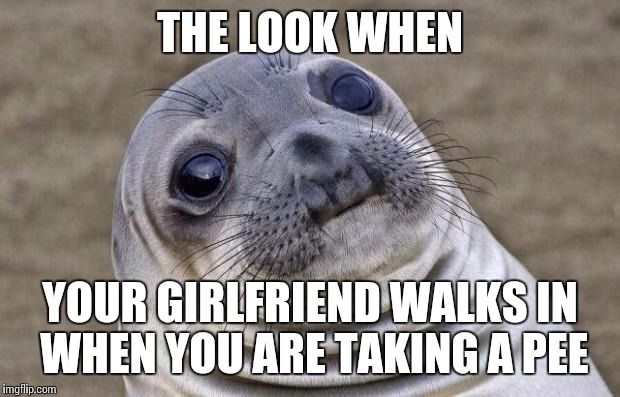 Awkward Moment Sealion | THE LOOK WHEN; YOUR GIRLFRIEND WALKS IN WHEN YOU ARE TAKING A PEE | image tagged in memes,awkward moment sealion | made w/ Imgflip meme maker