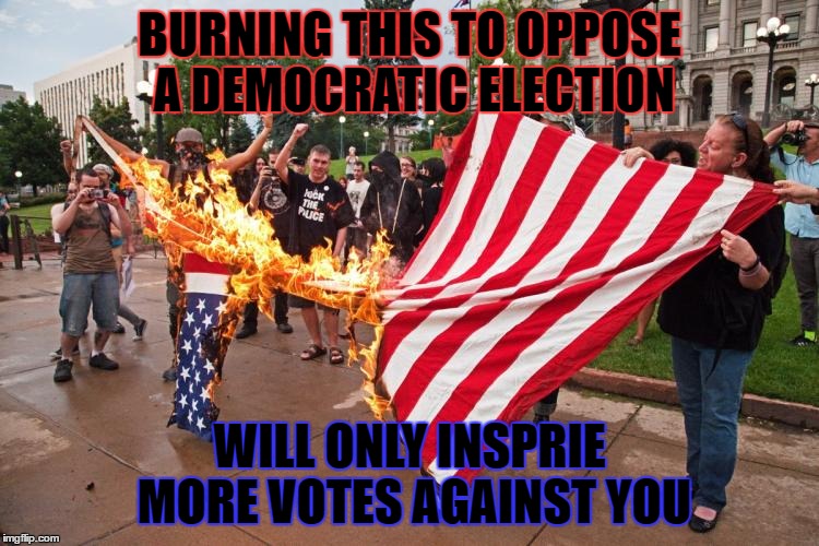 protesterrorists | BURNING THIS TO OPPOSE A DEMOCRATIC ELECTION; WILL ONLY INSPRIE MORE VOTES AGAINST YOU | image tagged in freedom,democracy | made w/ Imgflip meme maker