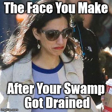 The Face You Make | The Face You Make; After Your Swamp Got Drained | image tagged in election 2016 | made w/ Imgflip meme maker