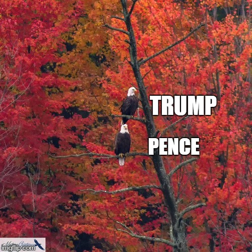 TRUMP; PENCE | image tagged in america | made w/ Imgflip meme maker