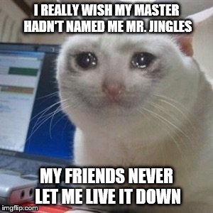 Use a username weekend day 3 submission 2 | I REALLY WISH MY MASTER HADN'T NAMED ME MR. JINGLES; MY FRIENDS NEVER LET ME LIVE IT DOWN | image tagged in crying cat,use the username weekend | made w/ Imgflip meme maker