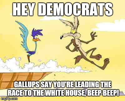 A.C.M.E Presidential Campaigns | HEY DEMOCRATS; GALLUPS SAY YOU'RE LEADING THE RACE TO THE WHITE HOUSE, BEEP BEEP! | image tagged in wile e coyote roadrunner,meme,trump 2016,trump | made w/ Imgflip meme maker