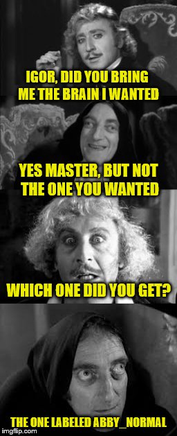 Use a username weekend day 3 submission 1 | IGOR, DID YOU BRING ME THE BRAIN I WANTED; YES MASTER, BUT NOT THE ONE YOU WANTED; WHICH ONE DID YOU GET? THE ONE LABELED ABBY_NORMAL | image tagged in use the username weekend,original meme,young frankenstein | made w/ Imgflip meme maker