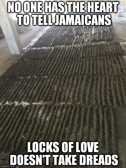 A Tale of Two Memes | NO ONE HAS THE HEART TO TELL JAMAICANS; LOCKS OF LOVE DOESN'T TAKE DREADS | image tagged in dreads,locks of love,warm fuzzy mon | made w/ Imgflip meme maker