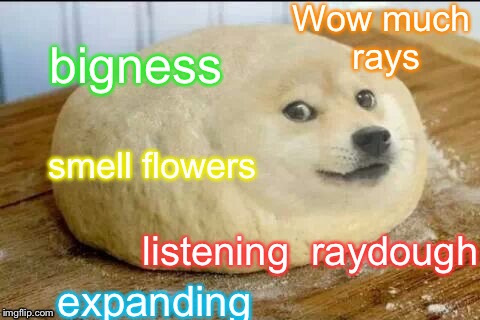 #username weekend ! Just found this template! Much lol #raydog | Wow much rays; bigness; smell flowers; listening  raydough; expanding | image tagged in douge,use the username weekend,use someones username in your meme,doge,raydog | made w/ Imgflip meme maker