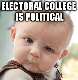 Skeptical Baby Meme | ELECTORAL COLLEGE IS POLITICAL | image tagged in memes,skeptical baby | made w/ Imgflip meme maker