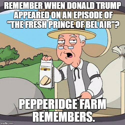 Pepperidge Farm Remembers Meme | REMEMBER WHEN DONALD TRUMP APPEARED ON AN EPISODE OF "THE FRESH PRINCE OF BEL AIR"? PEPPERIDGE FARM REMEMBERS. | image tagged in memes,pepperidge farm remembers | made w/ Imgflip meme maker