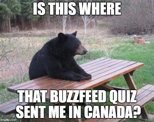 Bad Luck Bear Meme | IS THIS WHERE; THAT BUZZFEED QUIZ SENT ME IN CANADA? | image tagged in memes,bad luck bear | made w/ Imgflip meme maker