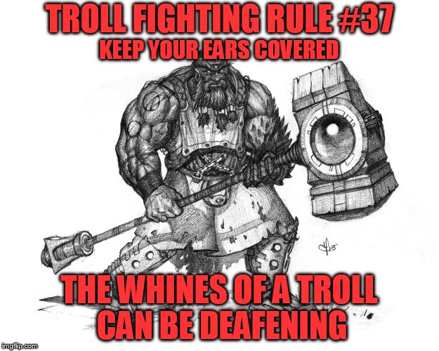 Troll Fighting Rule #37 | TROLL FIGHTING RULE #37; KEEP YOUR EARS COVERED; THE WHINES OF A TROLL CAN BE DEAFENING | image tagged in troll smasher | made w/ Imgflip meme maker
