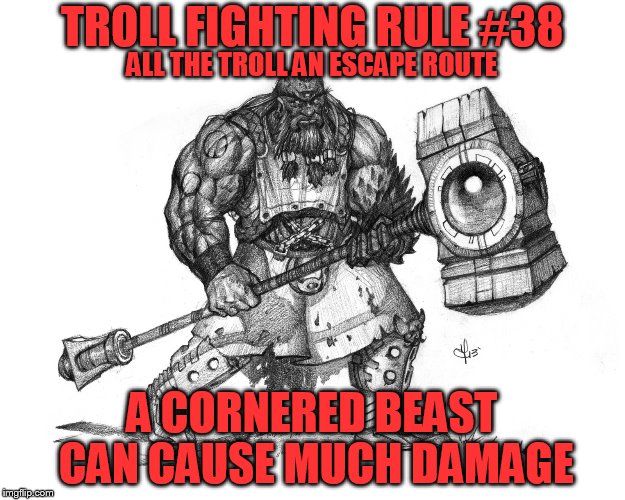 Troll Fighting Rule #38 | TROLL FIGHTING RULE #38; ALL THE TROLL AN ESCAPE ROUTE; A CORNERED BEAST CAN CAUSE MUCH DAMAGE | image tagged in troll smasher | made w/ Imgflip meme maker