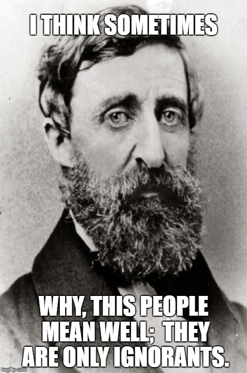 I THINK SOMETIMES; WHY, THIS PEOPLE MEAN WELL;  THEY ARE ONLY IGNORANTS. | image tagged in henry david thoreau | made w/ Imgflip meme maker
