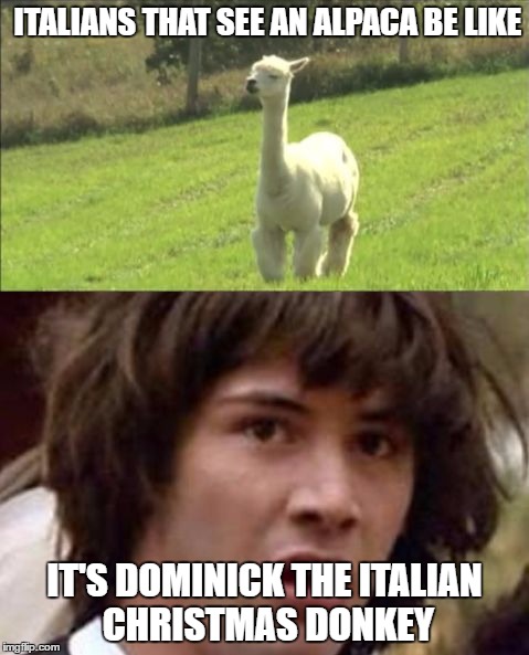 ITALIANS THAT SEE AN ALPACA BE LIKE; IT'S DOMINICK THE ITALIAN CHRISTMAS DONKEY | image tagged in alpacaconspiracy keanu | made w/ Imgflip meme maker