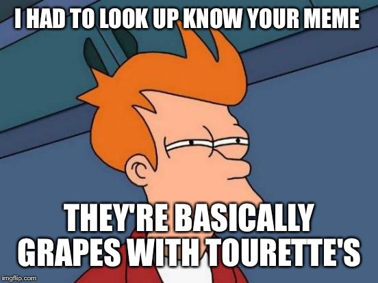 Futurama Fry Meme | I HAD TO LOOK UP KNOW YOUR MEME THEY'RE BASICALLY GRAPES WITH TOURETTE'S | image tagged in memes,futurama fry | made w/ Imgflip meme maker