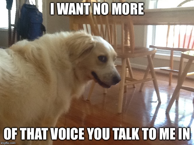 I WANT NO MORE; OF THAT VOICE YOU TALK TO ME IN | image tagged in annoyed dog | made w/ Imgflip meme maker
