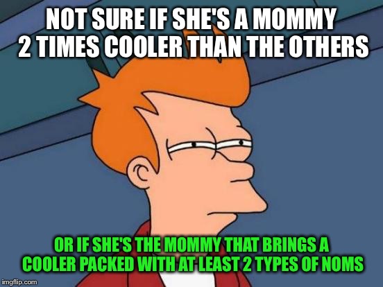 Coolermommy2.0 - Username Weekend! | NOT SURE IF SHE'S A MOMMY 2 TIMES COOLER THAN THE OTHERS; OR IF SHE'S THE MOMMY THAT BRINGS A COOLER PACKED WITH AT LEAST 2 TYPES OF NOMS | image tagged in memes,futurama fry | made w/ Imgflip meme maker