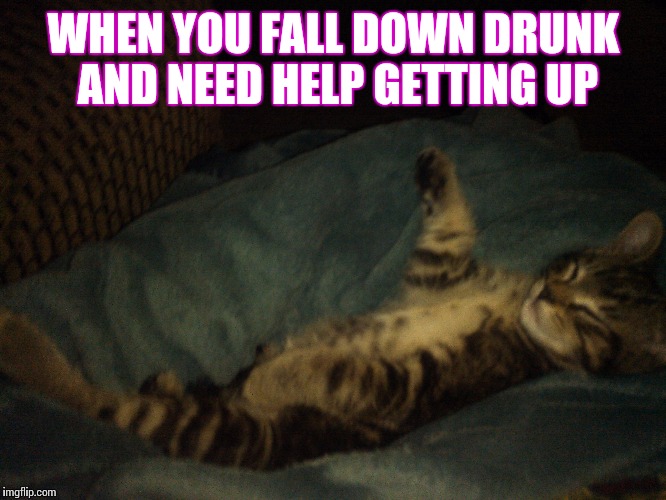 Dusty Tells It All | WHEN YOU FALL DOWN DRUNK AND NEED HELP GETTING UP | image tagged in kittens | made w/ Imgflip meme maker