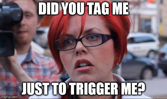 DID YOU TAG ME JUST TO TRIGGER ME? | made w/ Imgflip meme maker