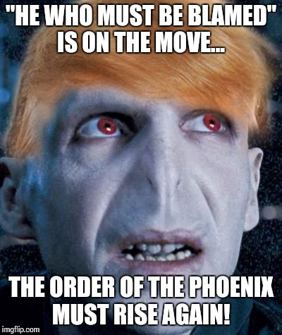 He who must be blamed!  | "HE WHO MUST BE BLAMED" IS ON THE MOVE... THE ORDER OF THE PHOENIX MUST RISE AGAIN! | image tagged in he who must be blamed | made w/ Imgflip meme maker