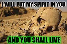Desert Bones | I WILL PUT MY SPIRIT IN YOU; AND YOU SHALL LIVE | image tagged in desert bones | made w/ Imgflip meme maker