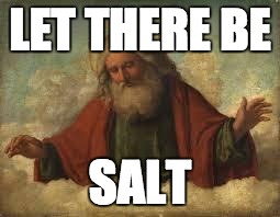 god | LET THERE BE; SALT | image tagged in god | made w/ Imgflip meme maker