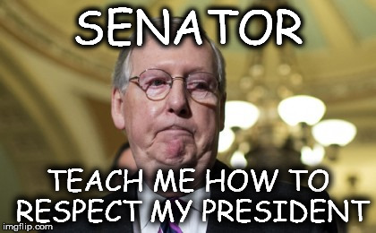 Oops I'm An Asshole Aren't I? | SENATOR; TEACH ME HOW TO RESPECT MY PRESIDENT | image tagged in mitch mcconnell,respect | made w/ Imgflip meme maker
