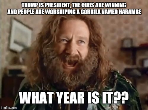 What Year Is It | TRUMP IS PRESIDENT, THE CUBS ARE WINNING AND PEOPLE ARE WORSHIPING A GORRILA NAMED HARAMBE; WHAT YEAR IS IT?? | image tagged in memes,what year is it | made w/ Imgflip meme maker