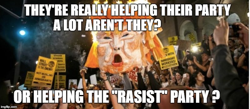The party of Michelle Obama 2020?  | THEY'RE REALLY HELPING THEIR PARTY A LOT AREN'T THEY? OR HELPING THE "RASIST" PARTY ? | image tagged in memes,lib protestors,riots,trump 2016,michelle obama,election 2020 | made w/ Imgflip meme maker