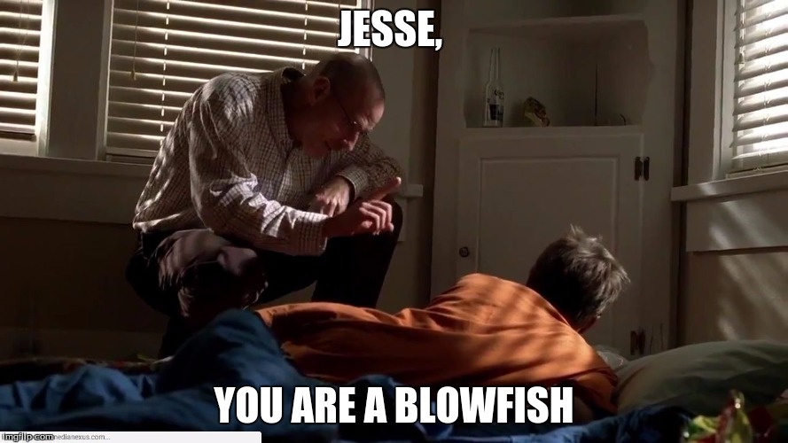 JESSE, YOU ARE A BLOWFISH | image tagged in jesse,you are a | made w/ Imgflip meme maker