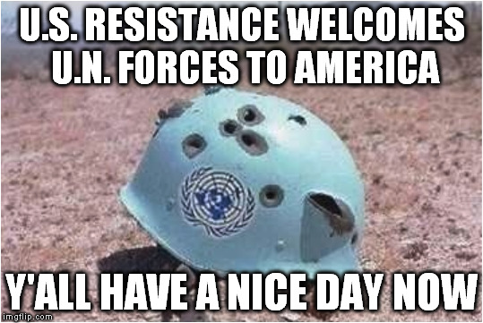 U.S. Resistance Welcome | U.S. RESISTANCE WELCOMES U.N. FORCES TO AMERICA; Y'ALL HAVE A NICE DAY NOW | image tagged in united nations | made w/ Imgflip meme maker