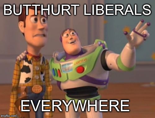 X, X Everywhere | BUTTHURT LIBERALS; EVERYWHERE | image tagged in memes,x x everywhere | made w/ Imgflip meme maker