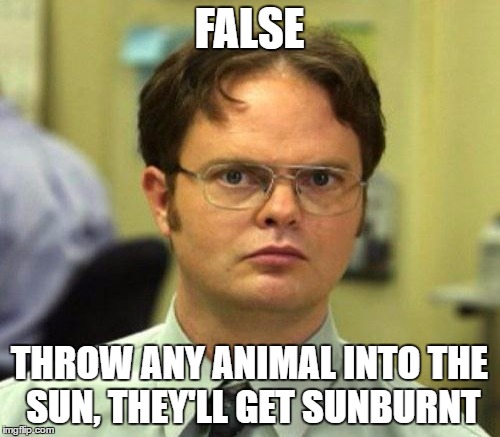 FALSE THROW ANY ANIMAL INTO THE SUN, THEY'LL GET SUNBURNT | made w/ Imgflip meme maker