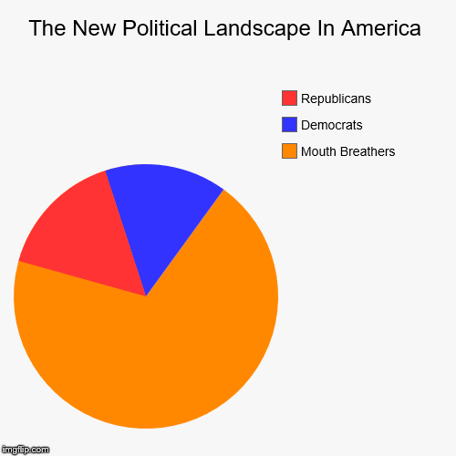 Demographics. | image tagged in funny,pie charts,politics,america,mouth breathers | made w/ Imgflip chart maker