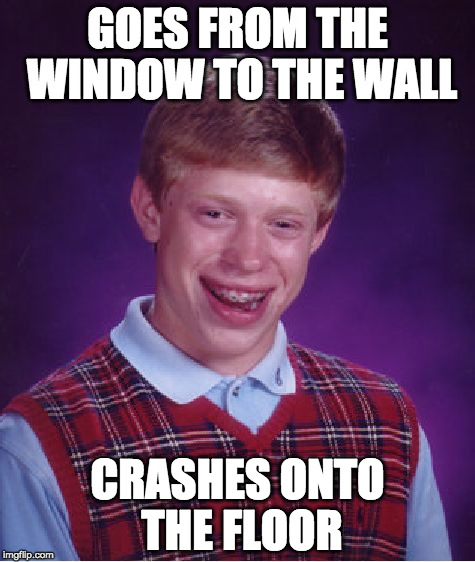 Bad Luck Brian Meme | GOES FROM THE WINDOW TO THE WALL; CRASHES ONTO THE FLOOR | image tagged in memes,bad luck brian | made w/ Imgflip meme maker