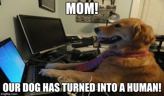 Human Dog | MOM! OUR DOG HAS TURNED INTO A HUMAN! | image tagged in meme | made w/ Imgflip meme maker