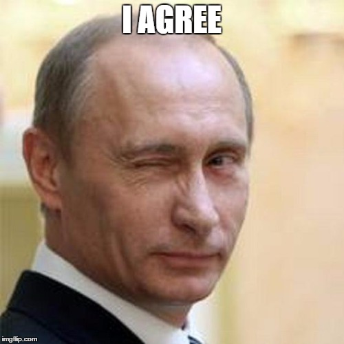 Putin Wink | I AGREE | image tagged in putin wink | made w/ Imgflip meme maker