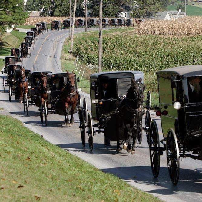 High Quality PA Amish Blank Meme Template