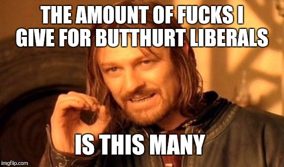 One Does Not Simply Meme | THE AMOUNT OF F**KS I GIVE FOR BUTTHURT LIBERALS IS THIS MANY | image tagged in memes,one does not simply | made w/ Imgflip meme maker