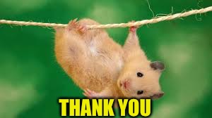 THANK YOU | made w/ Imgflip meme maker