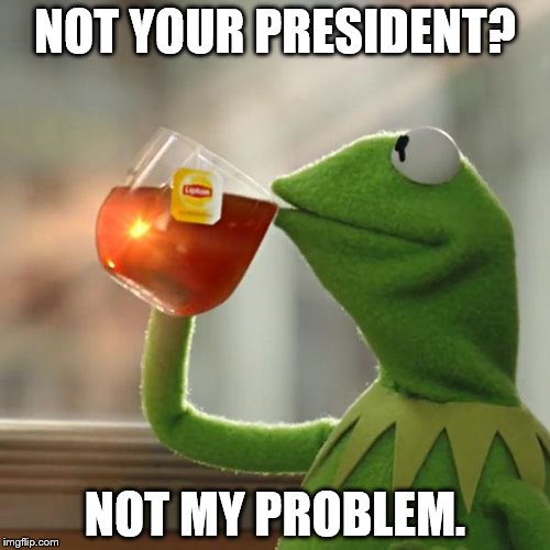 Not my Problem | NOT YOUR PRESIDENT? NOT MY PROBLEM. | image tagged in memes,but thats none of my business,kermit the frog,president trump,trump protesters,crybabies | made w/ Imgflip meme maker