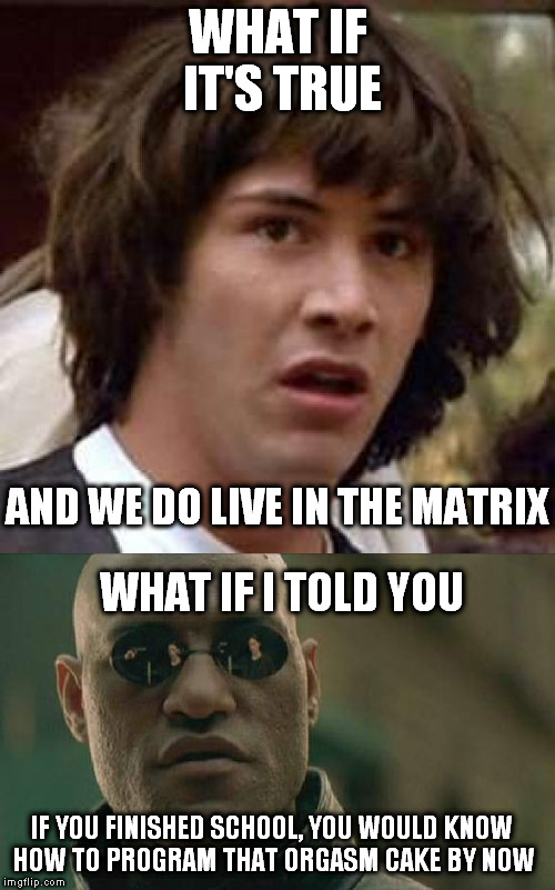 WHAT IF?!?!?! | WHAT IF IT'S TRUE; AND WE DO LIVE IN THE MATRIX; WHAT IF I TOLD YOU; IF YOU FINISHED SCHOOL, YOU WOULD KNOW HOW TO PROGRAM THAT ORGASM CAKE BY NOW | image tagged in matrix | made w/ Imgflip meme maker
