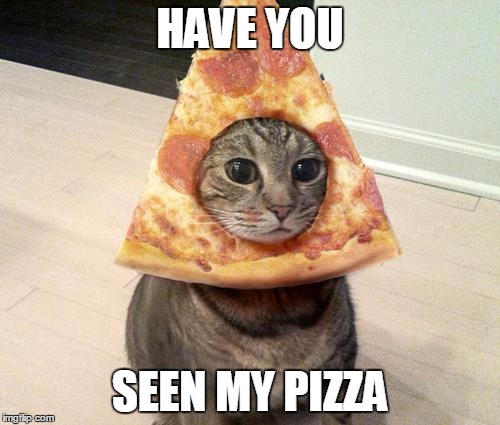 pizza cat | HAVE YOU; SEEN MY PIZZA | image tagged in pizza cat | made w/ Imgflip meme maker
